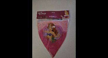 Prinsessen vlaggenlijn