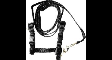 Verstelbaar harnas en riem voor kat