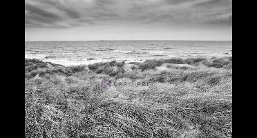 Schilderij - De Noordzee en duinen in zwart en wit, premium print, 2 maten , Wanddecoratie