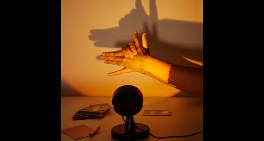 Kikkerland Shadow Game - Reisspellen -