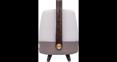 Kooduu Lite-up Play Mini JBL Earth Tafellamp - Bluetooth speaker - Led Lamp - JBL speaker