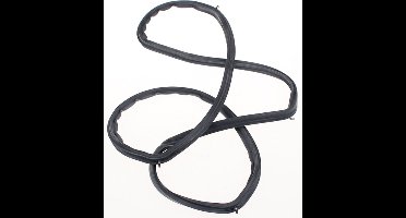 BOSCH - Dichting ovendeur - 00754066