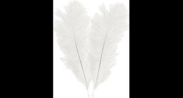 Chaks Struisvogelveren/sierveren - 4x - creme wit - 30-35 cm - decoratie/hobbymateriaal