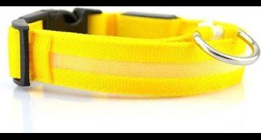 New Age Devi - Hondenriem - Lichtgevend - Geel - Maat S | Voor veilige wandelingen!