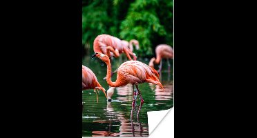 PosterMonkey - Poster - Fotolijst - Vogel - Water - Flamingo - Tropical - Dieren - 120x180 cm - Poster in lijst - Poster flamingo - Foto met lijst - Poster met kader