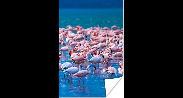 PosterMonkey - Poster - Fotolijst - Dieren - Flamingo - Zwart - Wit - Grijs - Kader - 40x60 cm - Slaapkamer - Poster lijst - Frame poster - Poster flamingo - Poster met frame