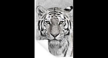 Muurstickers - Sticker Folie - Tijger - Natuur - Zwart - Wit - 20x30 cm - Plakfolie - Muurstickers Kinderkamer - Zelfklevend Behang - Zelfklevend behangpapier - Stickerfolie