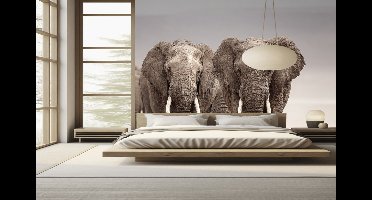 Naadloos behang Fotobehang - Majestic Elephant Parade - 250x300 centimeter