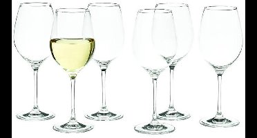 Royal Leerdam Wijnglazen Esprit - 24x - witte wijn - glas - 320 ml - wijn drinken - wijnglazen van glas
