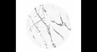 Daily Style – Kartonnen wegwerp borden – Marble Zilver – 23 cm – 20 stuks – Wegwerpservies