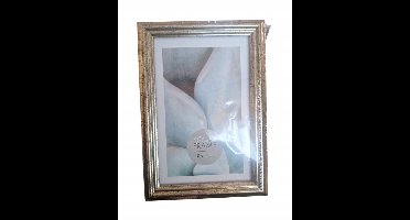 FOTOLIJST 10X15 CM zilver