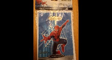 Uitdeelzakjes Spider-Man 3 Kinderfeest
