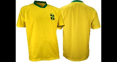 Voetbalshirt Supporter - Senior - Geel/Blauw/Groen - XXL