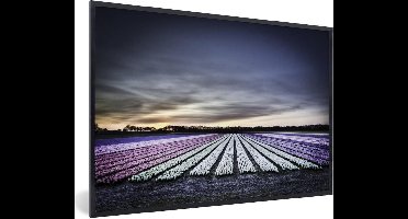 Fotolijst incl. Poster - Tulpenvelden bij de Keukenhof in Holland - 30x20 cm - Posterlijst