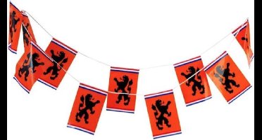Oranje Vlaggetjes met Leeuw - Oranje vlaggenlijn - EK accessoires - Oranje versiering - WK voetbal - EK voetbal - 8 meter