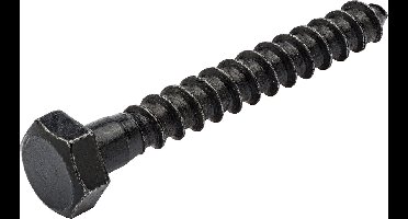 Blackline bevestigingsmaterialen - Blackline houtdraadbouten – zwart staal DIN 571 - 6.0 x 50mm / 25