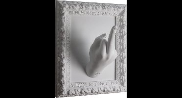 Antartidee - surrealistische - kunst - middelvinger - 3d - schilderij - omlijst