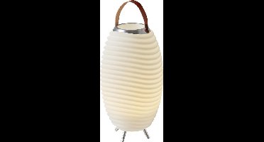 Kooduu Synergy 50S - Bluetooth Speaker - Wijnkoeler - LED lamp - met ingebouwde accu. 100% draadloos, muziek streamen