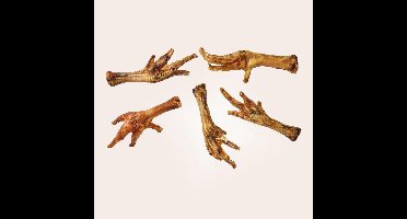 Antos Kippenpoten Gedroogd Kip 1 kg