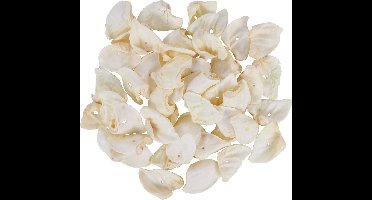 Hondensnack Varkensoren