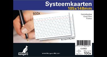 Systeemkaarten A6 105x148mm 100 stuks