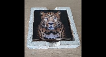 Onderzetter set wilde dieren 6 verschillende van hout