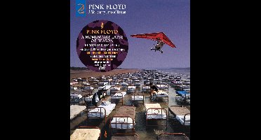 A Momentary Lapse Of Reason (CD+DVD)