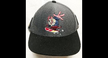 Looney Tunes Taz Tasmanian Devil Snowboard Cap - Pet