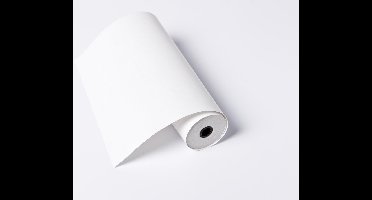 Brother PA-R-411 THERMOPAPER ROLL A4 thermal papier