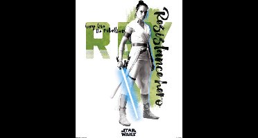 Grupo Erik Star Wars Episode IX Rey Resistance Hero Kunstdruk 30x40cm