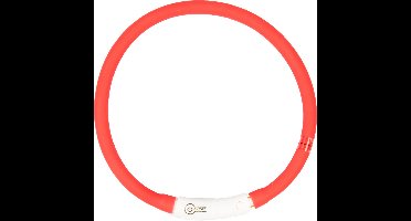 Duvoplus - Dierenkleding - Hond - Flash Light Ring Usb Nylon 65x1x1,5cm Rood - 1st