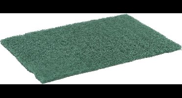 Schuurvlies set à 10 stuks 230 x 150 x 8 mm groen