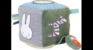 Nijntje | Baby kubus met labels | Spelen en ontdekken | Blauw 13 x 13 cm