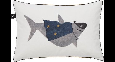 Lifetime Kidsrooms Kussen Space Dream Superhero