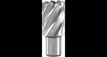 Kernboor 99X30 Mm