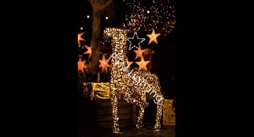 Rendier groot staand met 1 poot omhoog "Exclusivo" - 120cm