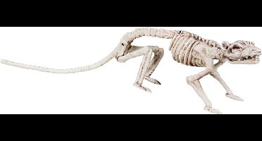 Boland - Decoratie Skelet rat - Horror - Horror