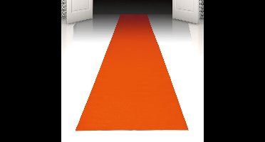 Boland - Loper oranje Oranje - Voetbal - Voetbal - Koningsdag - Holland - Supporter