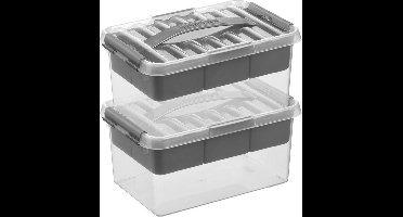 Sunware Q-Line opberg boxen - opbergdozen - 2x - met vakverdeling / vakken tray - 6 liter - 30 x 20 x 14 cm - kunststof