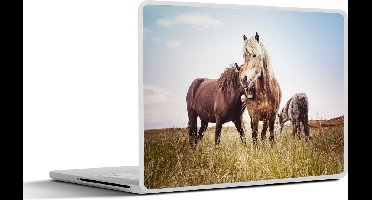 Laptop sticker - 12.3 inch - Paarden - Gras - Lente - 30x22cm - Laptopstickers - Laptop skin - Cover