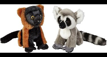 Ravensden - Apen serie pluche knuffels - 2x stuks - Ringstaart Maki en Vari Aapje - 18 cm