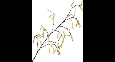 Silk-ka Zijden Bloem-Kunstbloem Hazelaar Tak Geel 129 cm