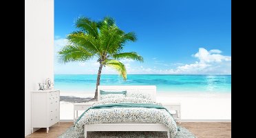 Behang - Fotobehang Palmboom - Strand - Zee - Zomer - Breedte 390 cm x hoogte 260 cm