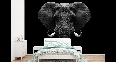 Behang - Fotobehang Dieren - Olifant - Portret - Zwart - Wit - Breedte 525 cm x hoogte 350 cm