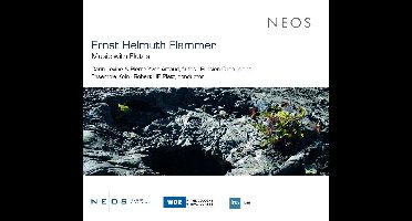 Carin Levine, Pierre-Yves Artaud, Ensemble Köln, Robert Hp Platz - Flammer: Music With Flutes (CD)