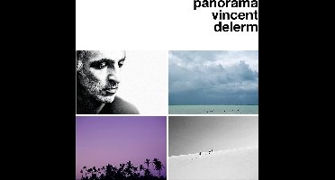 Vincent Delerm - Panorama (CD)