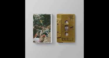 Unknown Mortal Orchestra - V (MC)