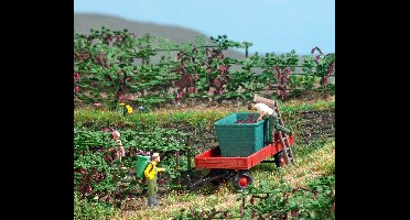 Busch - Traubenernte H0 (5/20) * - BU7879 - modelbouwsets, hobbybouwspeelgoed voor kinderen, modelverf en accessoires