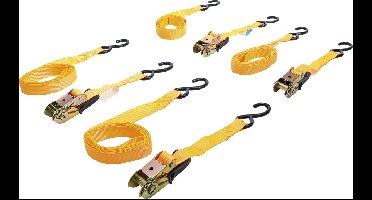 BGS Spanbandset met ratel met zware haken 5 meter x 25 mm 4 delig