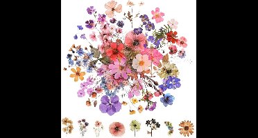 Bloemenstickers voor Scrapbooking en Handwerk - 200 Stuks voor Fotoalbums en Laptops